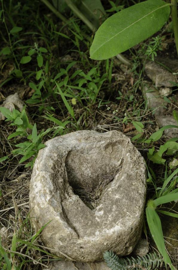 Апартаменты Egrelato Vendeghaz Балатонакали Экстерьер фото